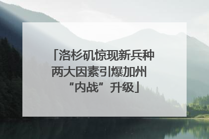 洛杉矶惊现新兵种 两大因素引爆加州“内战”升级