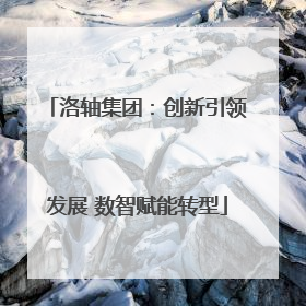 洛轴集团：创新引领发展 数智赋能转型