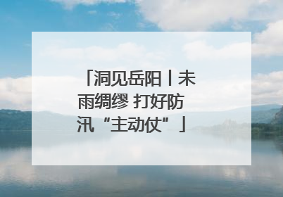 洞见岳阳丨未雨绸缪 打好防汛“主动仗”