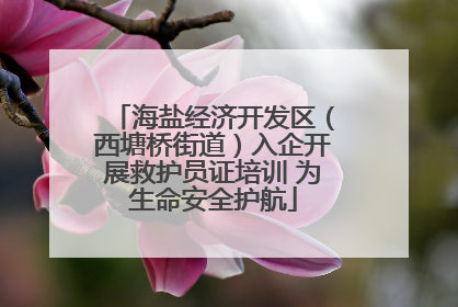 海盐经济开发区（西塘桥街道）入企开展救护员证培训 为生命安全护航