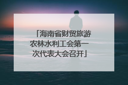 海南省财贸旅游农林水利工会第一次代表大会召开