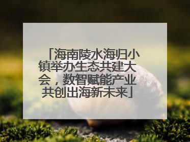 海南陵水海归小镇举办生态共建大会，数智赋能产业共创出海新未来