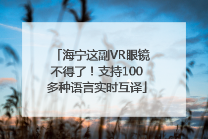 海宁这副VR眼镜不得了！支持100多种语言实时互译