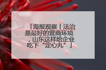 海报观察丨法治是最好的营商环境，山东这样给企业吃下“定心丸”