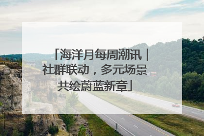 海洋月每周潮讯｜社群联动，多元场景共绘蔚蓝新章