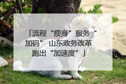 流程“瘦身”服务“加码” 山东政务改革跑出“加速度”