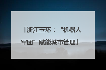 浙江玉环：“机器人军团”赋能城市管理