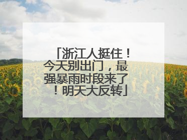 浙江人挺住！今天别出门，最强暴雨时段来了！明天大反转