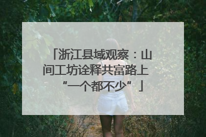浙江县域观察：山间工坊诠释共富路上“一个都不少”