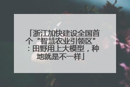 浙江加快建设全国首个“智慧农业引领区”：田野用上大模型，种地就是不一样