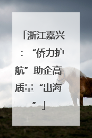 浙江嘉兴：“侨力护航”助企高质量“出海”