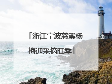 浙江宁波慈溪杨梅迎采摘旺季
