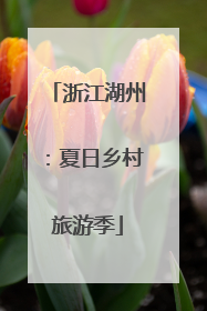 浙江湖州：夏日乡村旅游季