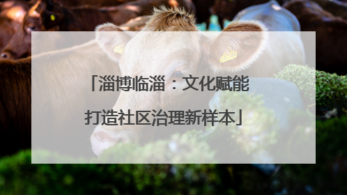 淄博临淄：文化赋能 打造社区治理新样本