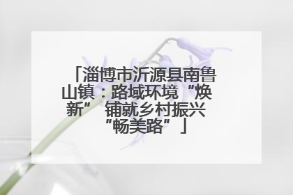 淄博市沂源县南鲁山镇：路域环境“焕新” 铺就乡村振兴“畅美路”