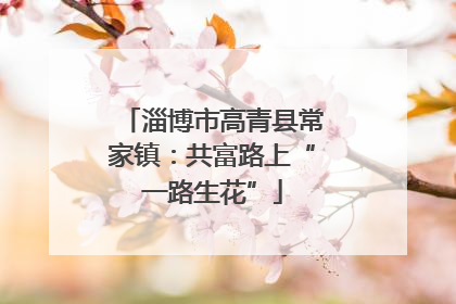 淄博市高青县常家镇：共富路上“一路生花”