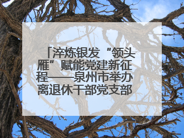淬炼银发“领头雁”赋能党建新征程——泉州市举办离退休干部党支部书记能力建设专题培训