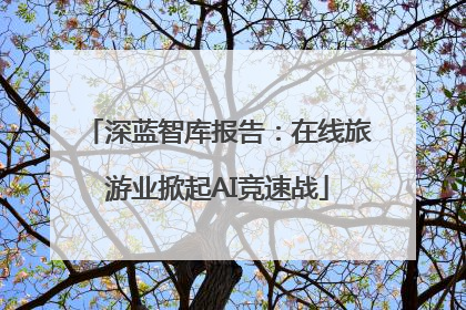 深蓝智库报告：在线旅游业掀起AI竞速战