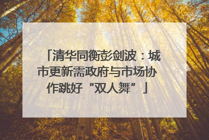 清华同衡彭剑波：城市更新需政府与市场协作跳好“双人舞”