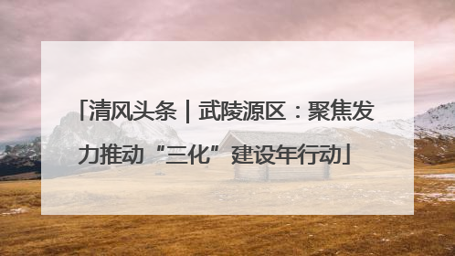 清风头条｜武陵源区：聚焦发力推动“三化”建设年行动