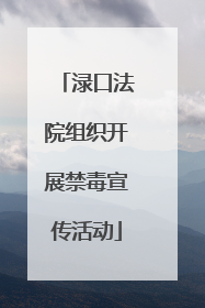 渌口法院组织开展禁毒宣传活动