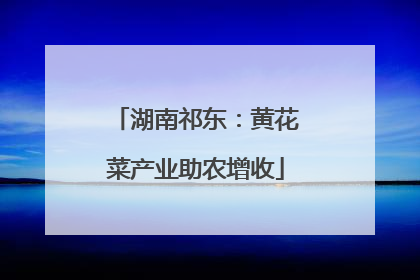 湖南祁东：黄花菜产业助农增收