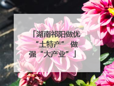 湖南祁阳做优“土特产” 做强“大产业”