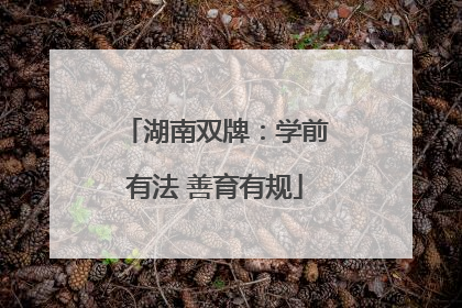 湖南双牌：学前有法 善育有规