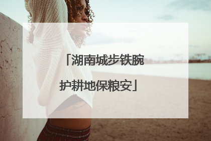 湖南城步铁腕护耕地保粮安