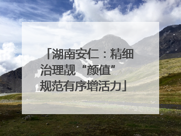 湖南安仁：精细治理靓“颜值” 规范有序增活力