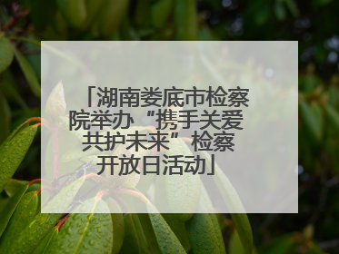 湖南娄底市检察院举办“携手关爱 共护未来”检察开放日活动