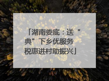 湖南娄底：送“典”下乡优服务 税惠进村助振兴