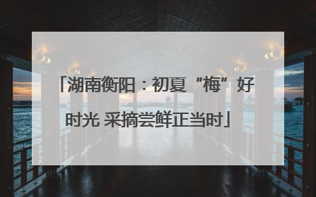 湖南衡阳：初夏“梅”好时光 采摘尝鲜正当时