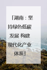 湖南：坚持绿色低碳发展 构建现代化产业体系