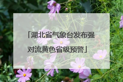 湖北省气象台发布强对流黄色省级预警