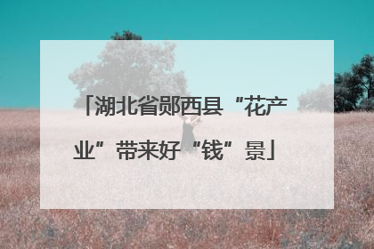 湖北省郧西县“花产业”带来好“钱”景