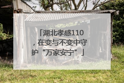 湖北孝感110，在变与不变中守护“万家安宁”