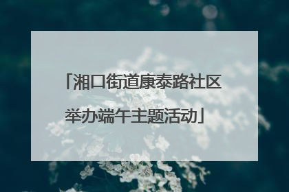湘口街道康泰路社区举办端午主题活动