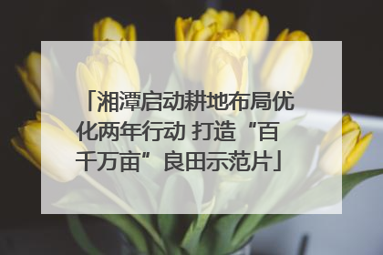 湘潭启动耕地布局优化两年行动 打造“百千万亩”良田示范片