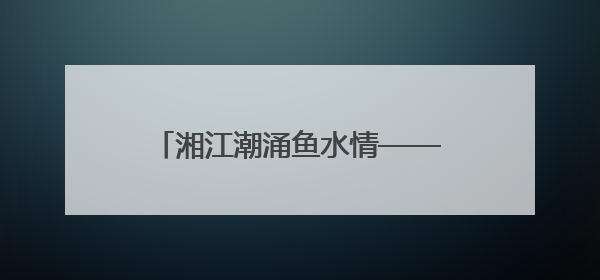 湘江潮涌鱼水情——长沙8次荣获“全国双拥模范城”称号