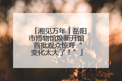湘见万年丨岳阳市博物馆焕新开馆 首批观众惊呼“变化太大了！”