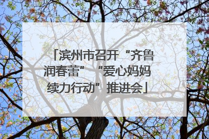 滨州市召开“齐鲁润春蕾”“爱心妈妈续力行动”推进会