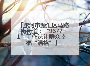 漯河市源汇区马路街街道：“96771”工作法让群众幸福“满格”