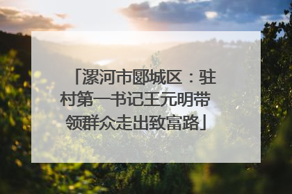 漯河市郾城区：驻村第一书记王元明带领群众走出致富路