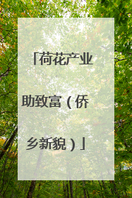 荷花产业助致富（侨乡新貌）
