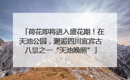 荷花即将进入盛花期！在天池公园，邂逅四川宜宾古八景之一“天池晚照”