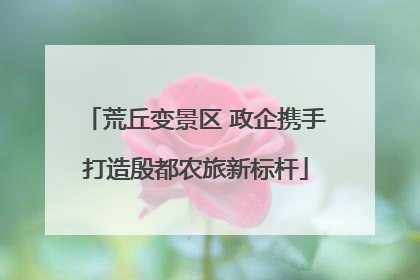 荒丘变景区 政企携手打造殷都农旅新标杆