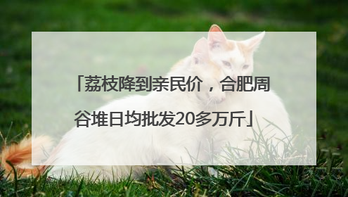 荔枝降到亲民价，合肥周谷堆日均批发20多万斤