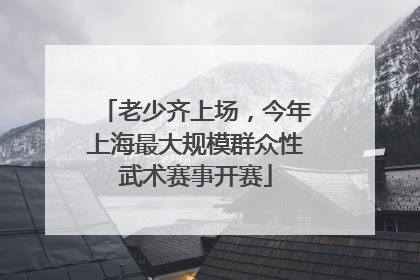 老少齐上场，今年上海最大规模群众性武术赛事开赛