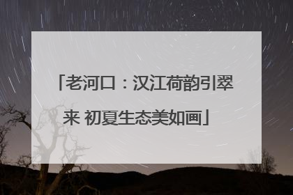 老河口：汉江荷韵引翠来 初夏生态美如画